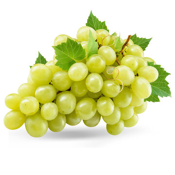 bunch of green grapes isolated