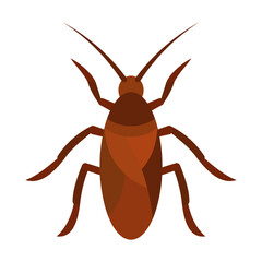 cockroach