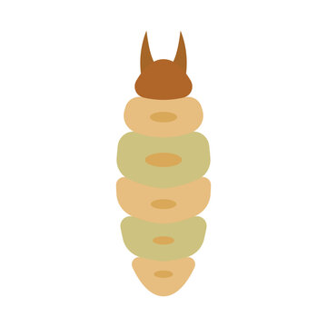 maggot