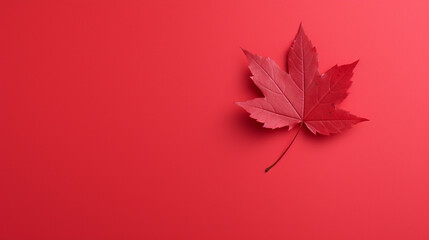 Naklejka na ściany i meble red autumn leaves