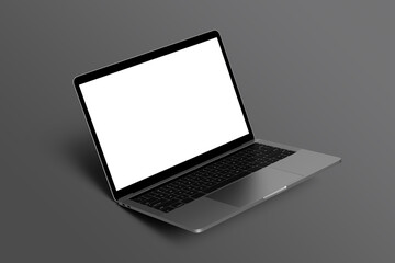 Laptop with blank screen mockup
