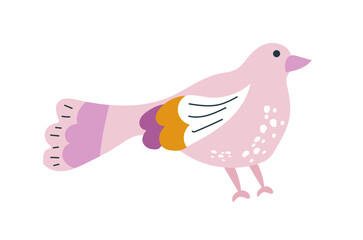  Cute multi-coloured bird. Spring bird on a white background