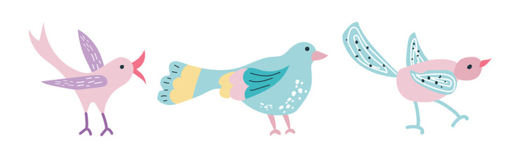 Cute multi-coloured bird. Spring bird on a white background