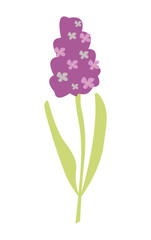 Simple spring flower isolated on a white backgroundArt & Illustration