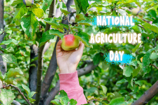 National Agriculture Day With the Bounty of Natures Harvest - Powered by Adobe