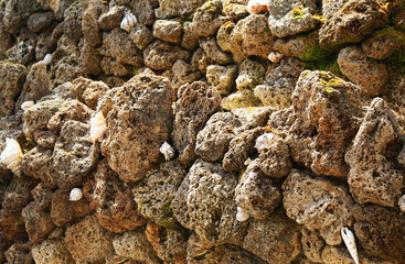 Decorative wall of stones with shells in a city park, background, texture. Design