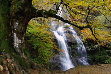 Uguna waterfalln in autumn