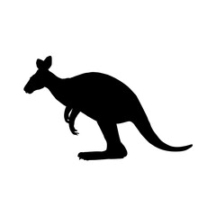 kangaroo silhouette - vector illustration