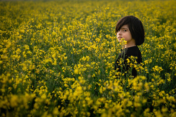 Naklejka na ściany i meble dark haired girl standing in a big yellow blooming field