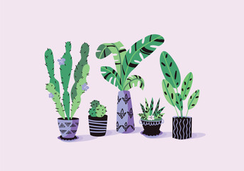 Vector set of house plants in pots. Cartoon hand drawn illustration style. Fun colors and patterns. Set of isolated elements for the design of advertising banners, books, postcards.