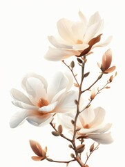 Minimalist Illustration of White Magnolias Generative AI