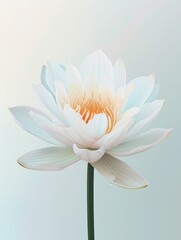 White Water Lily Group of Flowers Illustration Generative AI