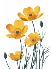 Minimalist Illustration of Yellow Buttercup and White Background Generative AI