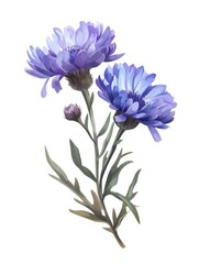 Purple Aster Flower Group Illustration Generative AI