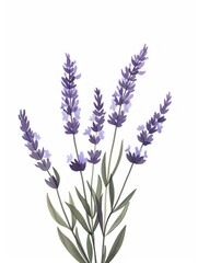 Purple Lavender Sprig Illustration with Group of Flowers Generative AI