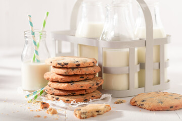 Sweet and crunchy vanilla cookies with chocolate chips.