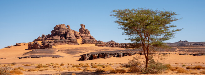 Landscape of the Red Tadrart in the Sahara Desert, Algeria. A solitary tree and, in the background, a rock formation seems to represent a bird in profile - 732650250
