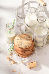 Sweet and crunchy vanilla cookies as after school milky snack.