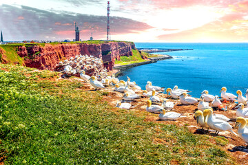 Helgoland, Schleswig Holstein, Deutschland 