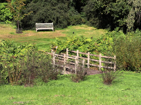 Landscape garden with wooden seat
