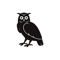Obraz premium owl vector silhouette