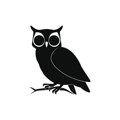 Fototapeta premium owl vector silhouette