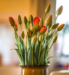 tulips in a vase