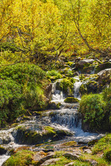 Fototapeta na wymiar shallow beautiful alpine river with a fast flow and stones on the bank