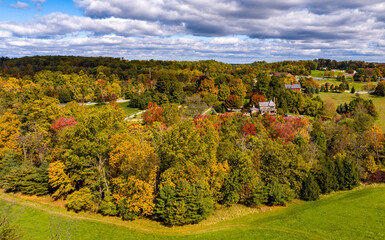 Obraz premium An Aerial View of a Colorful Autumn Forest on a Sunny Fall Day