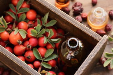 Rosehip syrup or extract with fresh red dog-rose berries in wooden box, closeup, copy space,...
