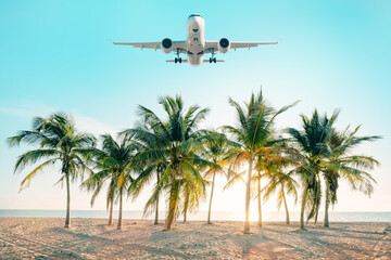 modern airliner arrives above palm trees
