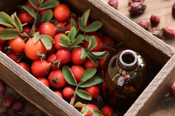 Rosehip syrup or extract with fresh red dog-rose berries in wooden box, closeup, copy space,...