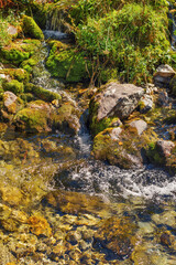 shallow beautiful alpine river with a fast flow and stones on the bank - 732672676