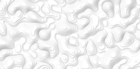 Abstract geometric layered curve line white background. 3d white papercut topography relief. Cover layout template. paper cut topography soft background banner texture. light liquid wave illustration.