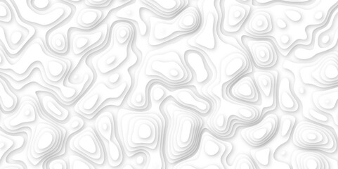 Abstract geometric layered curve line white background. 3d white papercut topography relief. Cover layout template. paper cut topography soft background banner texture. light liquid wave illustration.