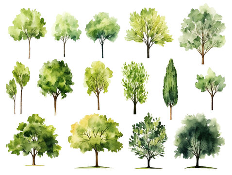 Set of Watercolor trees collection on transparent background	