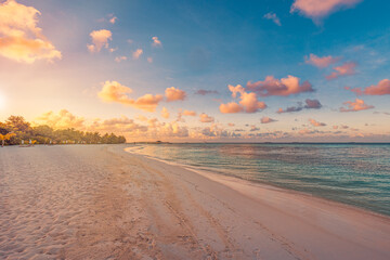 Tropical sea beach colorful sky sand sunset light sunrays. Relaxing landscape, horizon palm trees...