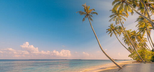 Best travel landscape. Paradise beach amazing tropical island. Beautiful palm trees closeup idyllic...