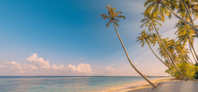 Best travel landscape. Paradise beach amazing tropical island. Beautiful palm trees closeup idyllic sea waves sunshine blue sky clouds. Luxury tourism summer vacation design zen inspire wallpaper