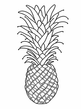 Pineapple coloring pages for kids