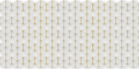 Abstract background with golden geometric pattern . Geometry pattern hexagon. Hexagonal netting. seamless background with 3d illustration. structure futuristic white background and Embossed Hexagon.