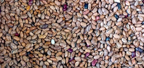 dry beans with colorful spots