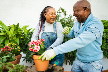 Happy African senior people gardening together outdoor - 732686258