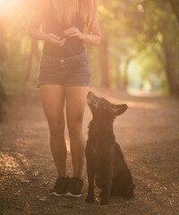 a black labrador retriever type mixed breed dog sitting next to a young woman in a forest
