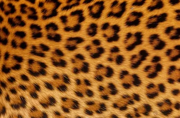Foto op Canvas Leopard skin texture, Close-up leopard spot pattern texture background. © Bulder Creative