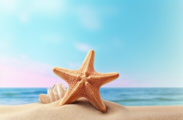 Fototapeta na wymiar Sand with a starfish on the beach