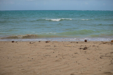 Day to observe the beach, sea and sky, stand in Paraia looking at the natural beauty of Alagoas and Pernambuco, a paradisiacal place with a white area
