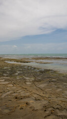 Day to observe the beach, sea and sky, stand in Paraia looking at the natural beauty of Alagoas and Pernambuco, a paradisiacal place with a white area