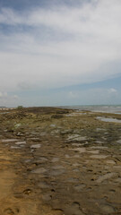 Day to observe the beach, sea and sky, stand in Paraia looking at the natural beauty of Alagoas and Pernambuco, a paradisiacal place with a white area