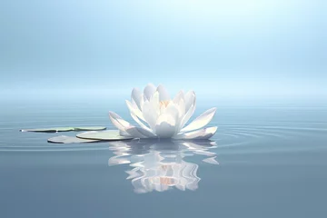 Fototapeten white lotus flower floating on water © Alexei
